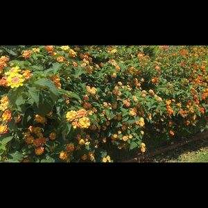 Meet your Posher, Mayra